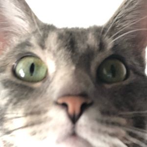 Meet your Posher, Sofie